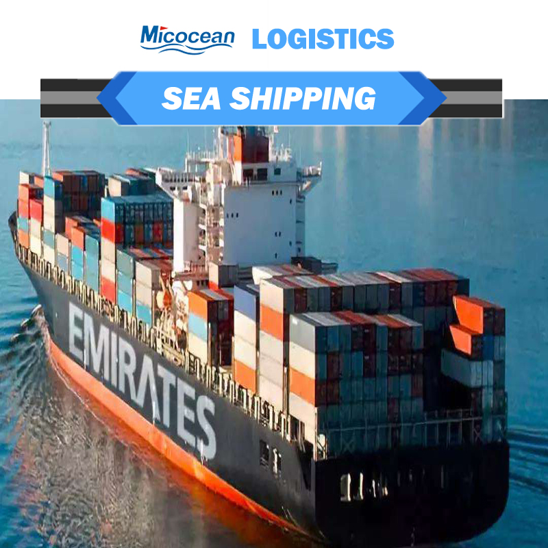 Reliable Sea Shipping Consolidation Service FCL/LCL Door-to-Door From China to Djibouti/ Saudi Arabia/Sudan/Egypt Shipping Rate