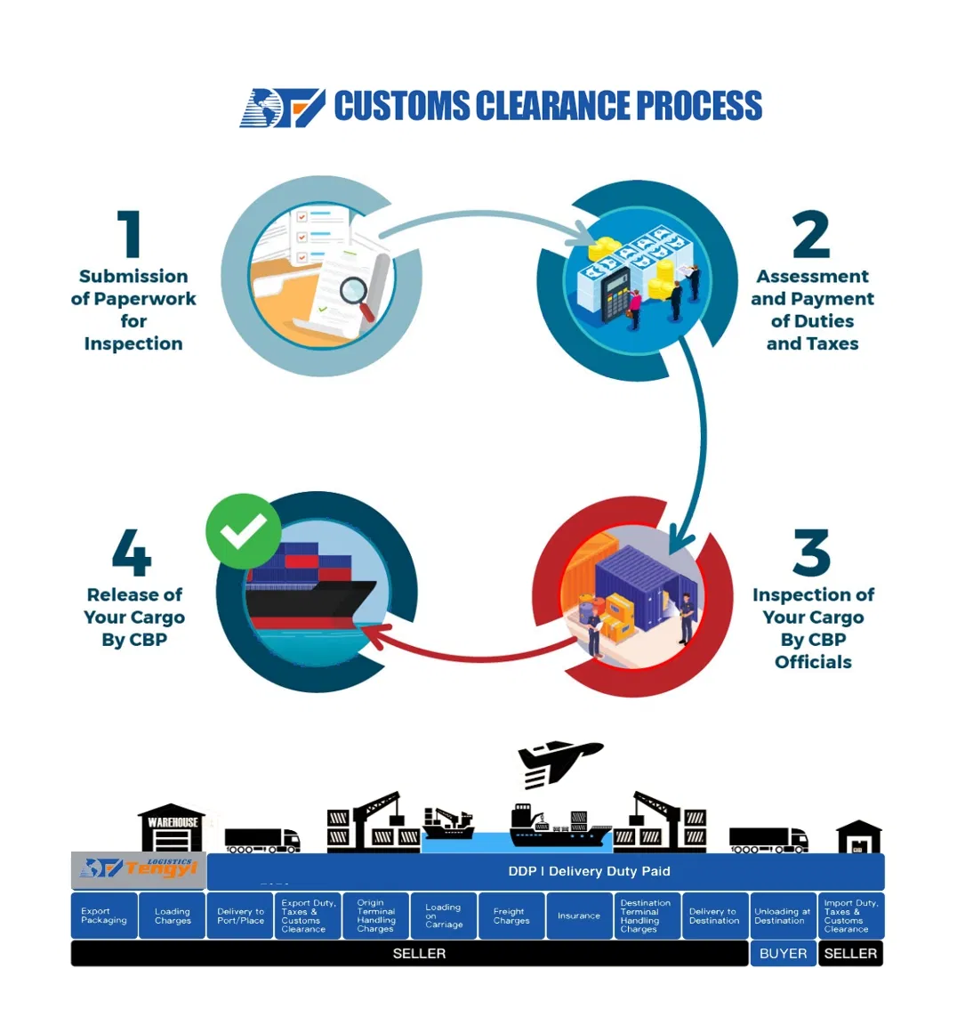 International Container DDP Sea Freight Shipping Agent From China to Slovenia