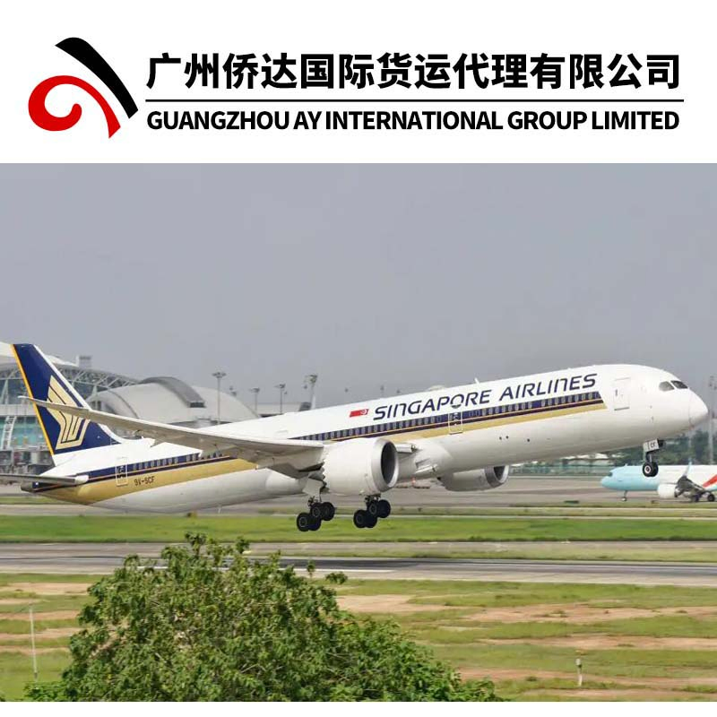 DDU Door to Door LCL Shipping Agent From China to Singapore Container by Sea, It Takes About 3 Weeks