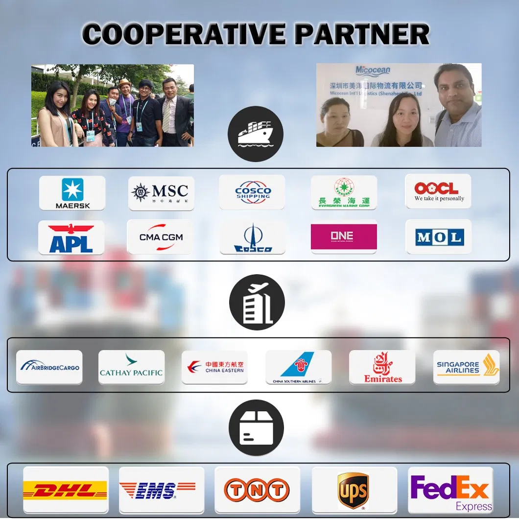 Professionnelle International Logistic FCL/LCL Ocean Transitaire Maritime Chine Tamatave/Djibouti/Dakar/Mombasa/Berbera/Kribi/Douala