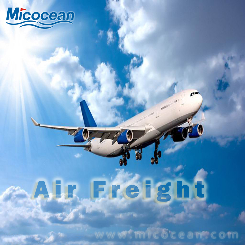 Professionnelle International Logistic FCL/LCL Ocean Transitaire Maritime Chine Tamatave/Djibouti/Dakar/Mombasa/Berbera/Kribi/Douala