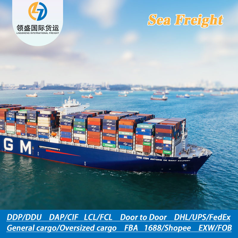 Reliable DDP Ocean Shipping Logistics to Latvia, Door to Door Transportation