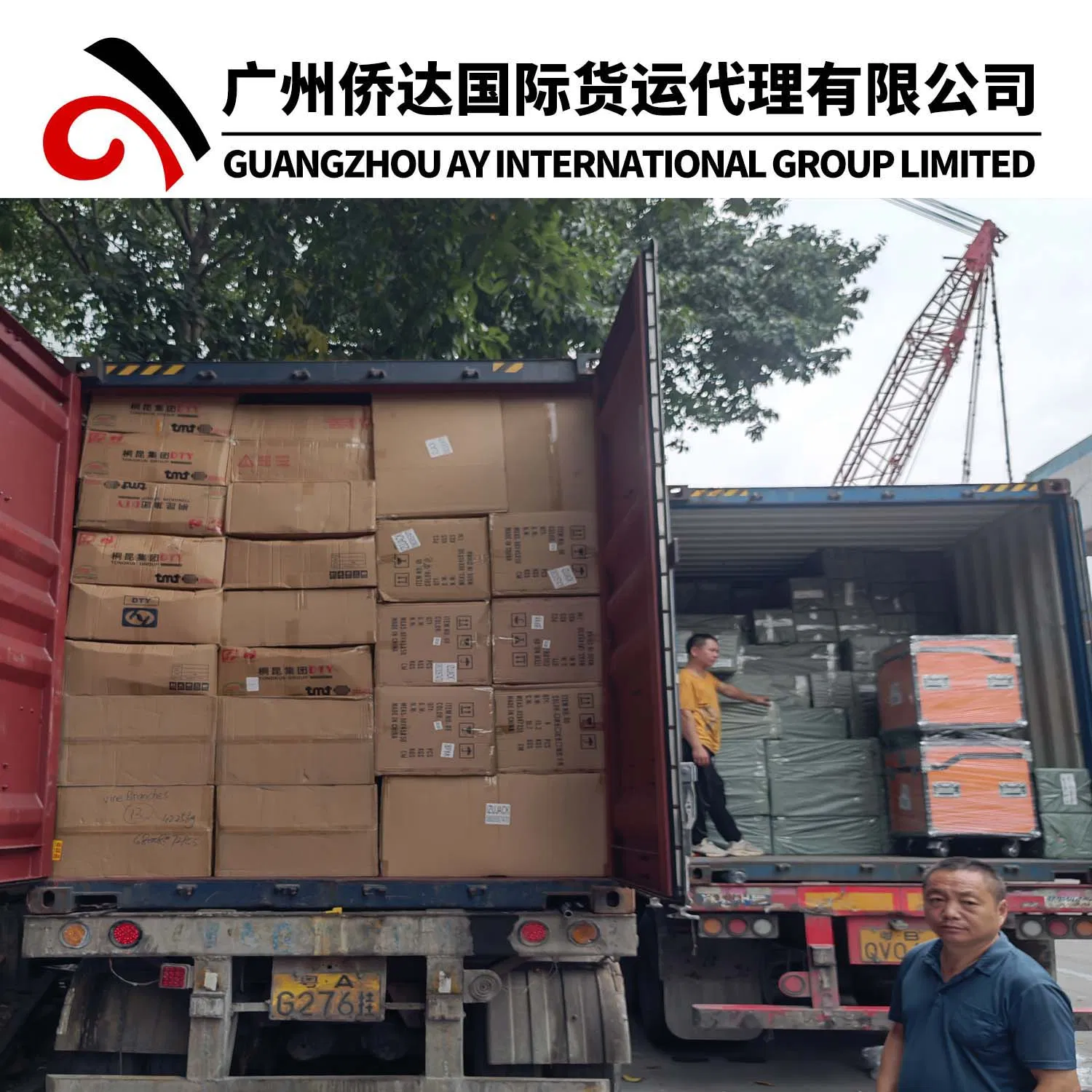 China Air Freight/Air Cargo to Sierra Leone Shipping From Guangzhou Wholesale Market