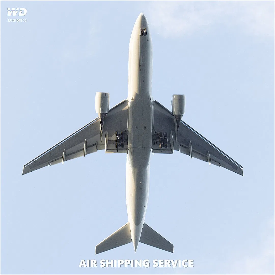 International Special Ocean Cargo Storage Air Transportation Services From Guangdong China to Russia Worldwide
