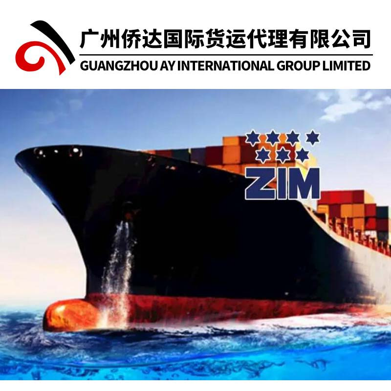 Szx Air Shipping Air Freight Air Logistics Air Cargo Service From China to USA Canada Mexico