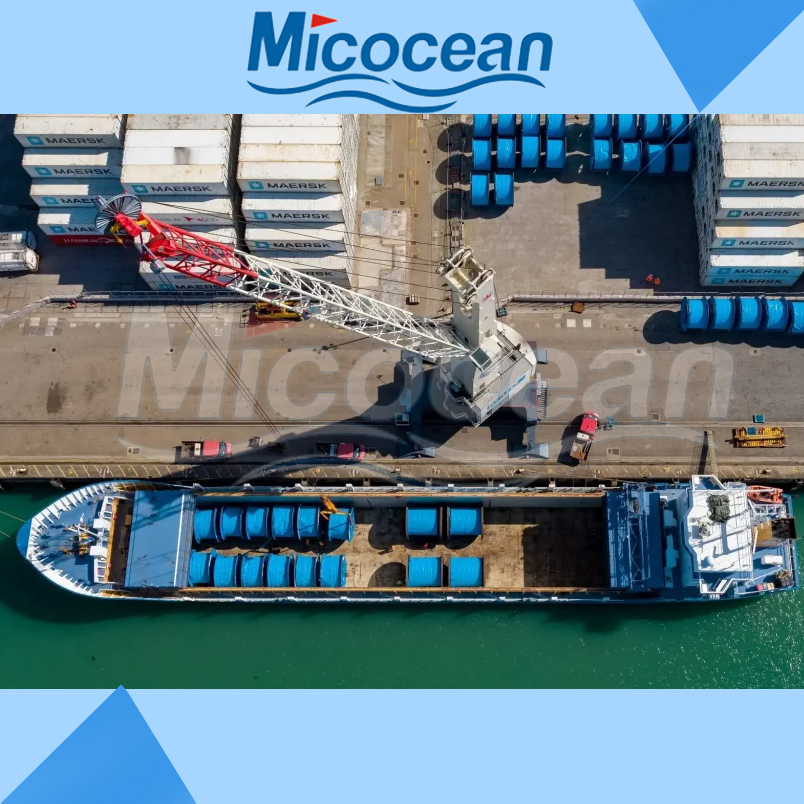 Bulk Shipping / Roro Shipping Freight Forwarder From China to The Middle East/Africa/Asia / Europe/South America etc.