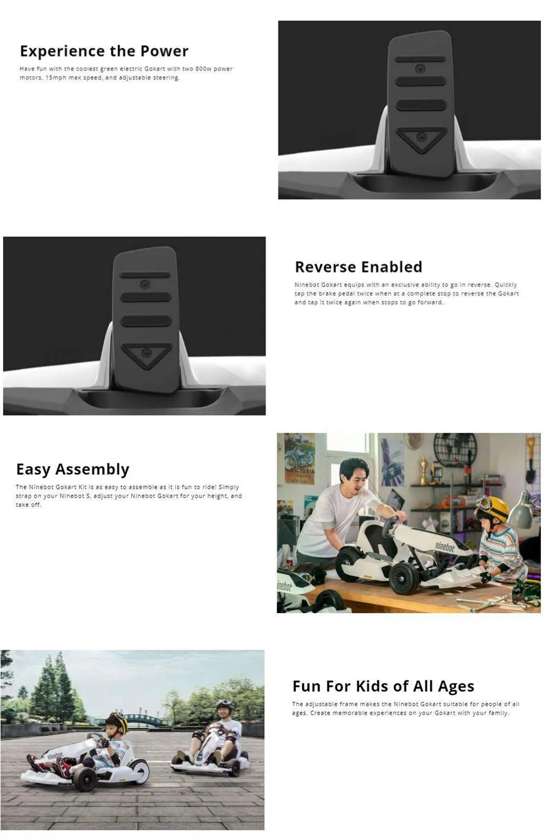 Ninebot Electric Scooter