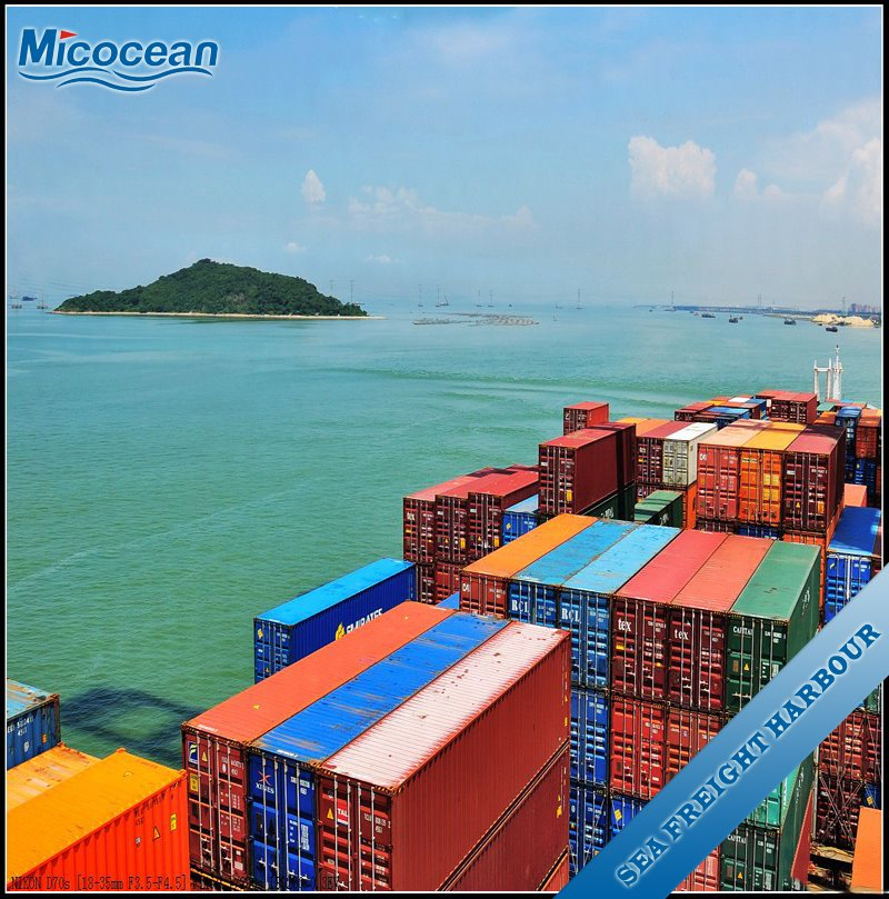 Reliable Sea Shipping Consolidation Service FCL/LCL Door-to-Door From China to Djibouti/ Saudi Arabia/Sudan/Egypt Shipping Rate