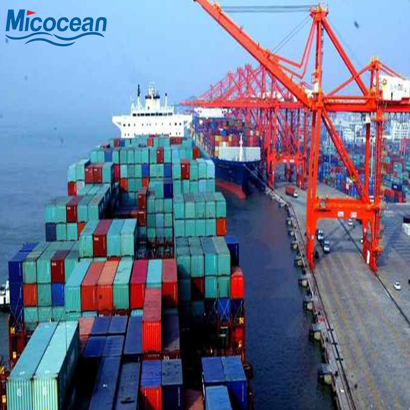 Professional Forwarding Agents: Safe Battery Transport &amp; Sea Freight Solutions to Worldwide Locations