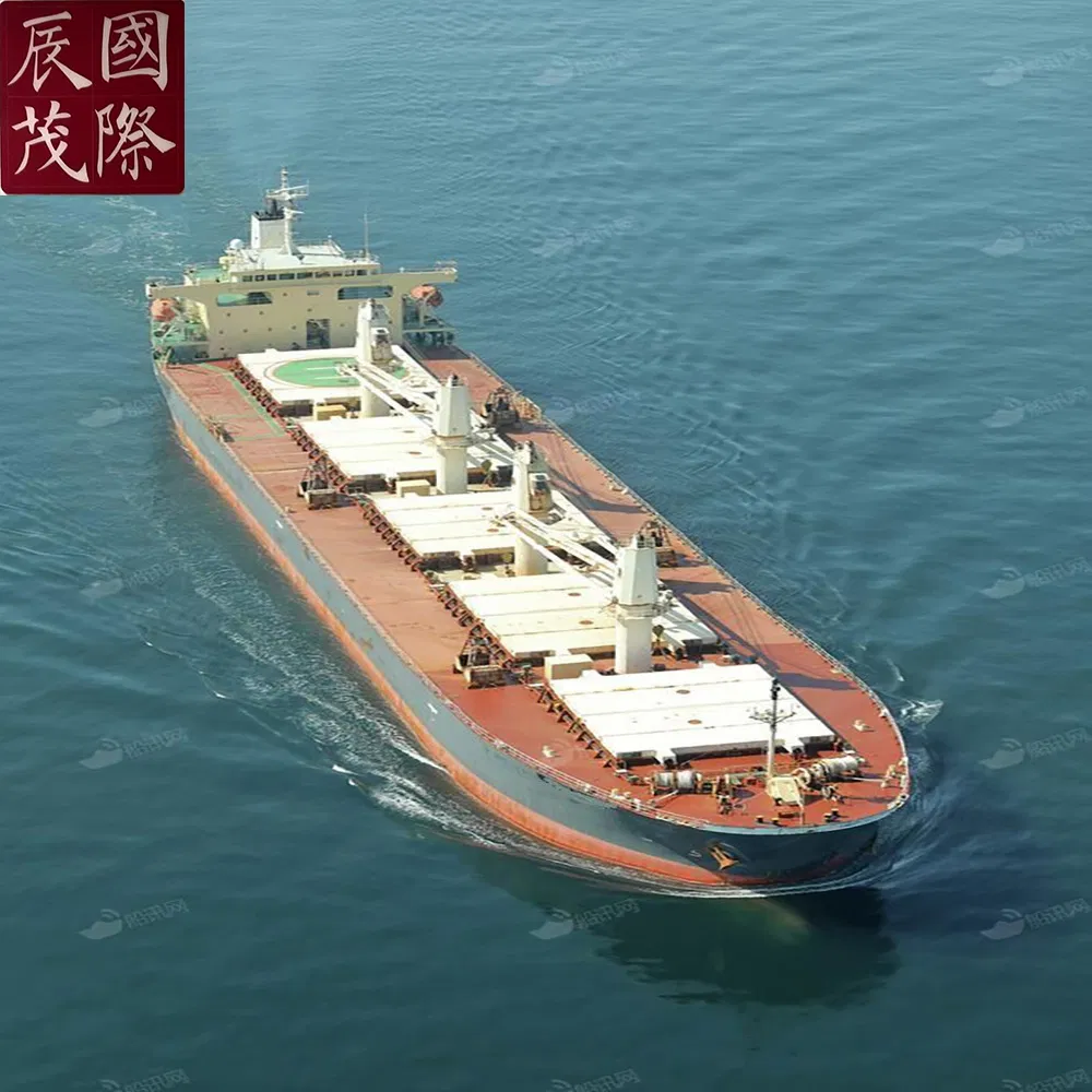 Sea Freight From China Main Port to Sharjah