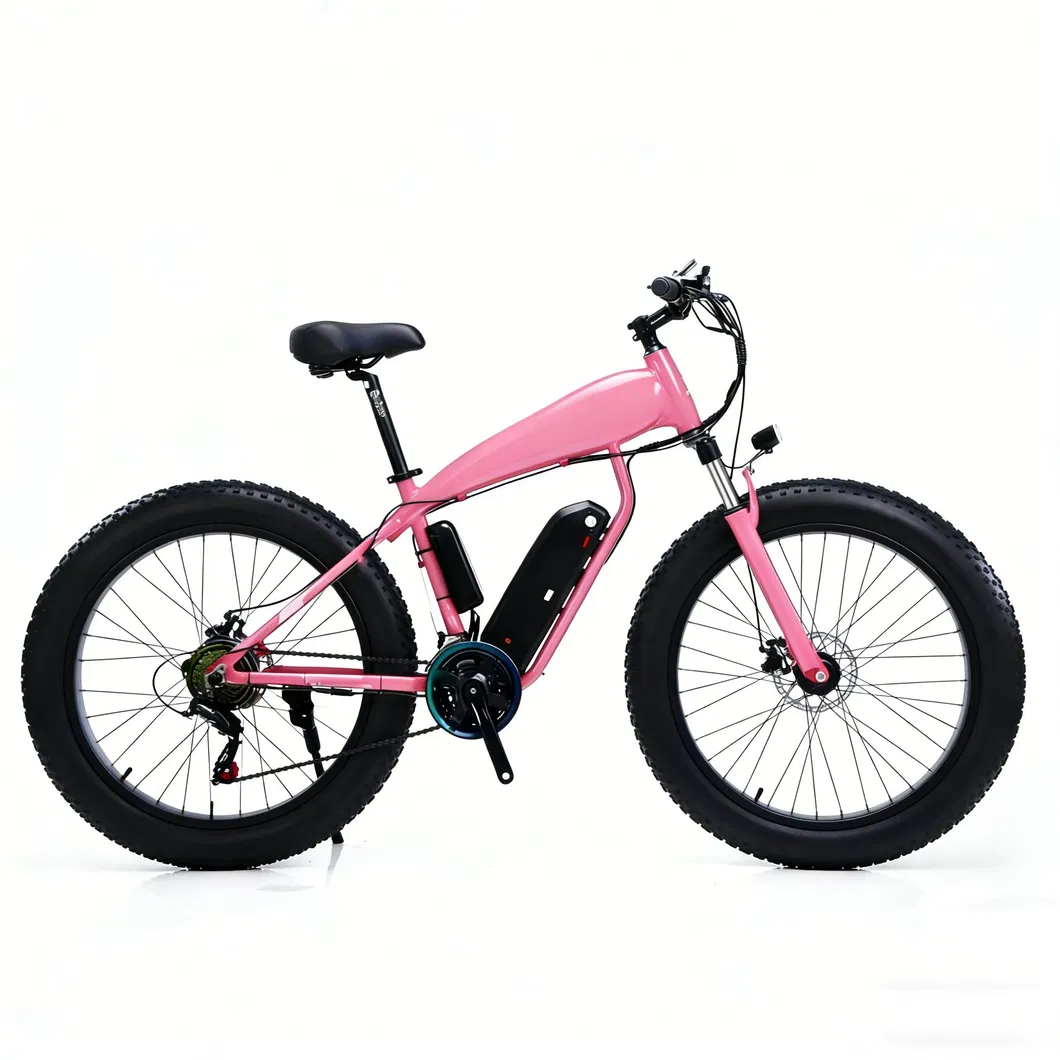 E-Bike Details 3