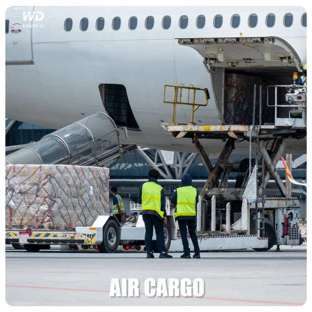Sea Transportation Air Transportation Cargo Transportation Professional Shipping Transportation Ocean Transportation Shipping Container Transportation