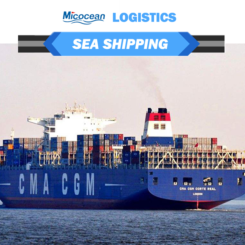 Reliable Sea Shipping Consolidation Service FCL/LCL Door-to-Door From China to Djibouti/ Saudi Arabia/Sudan/Egypt Shipping Rate