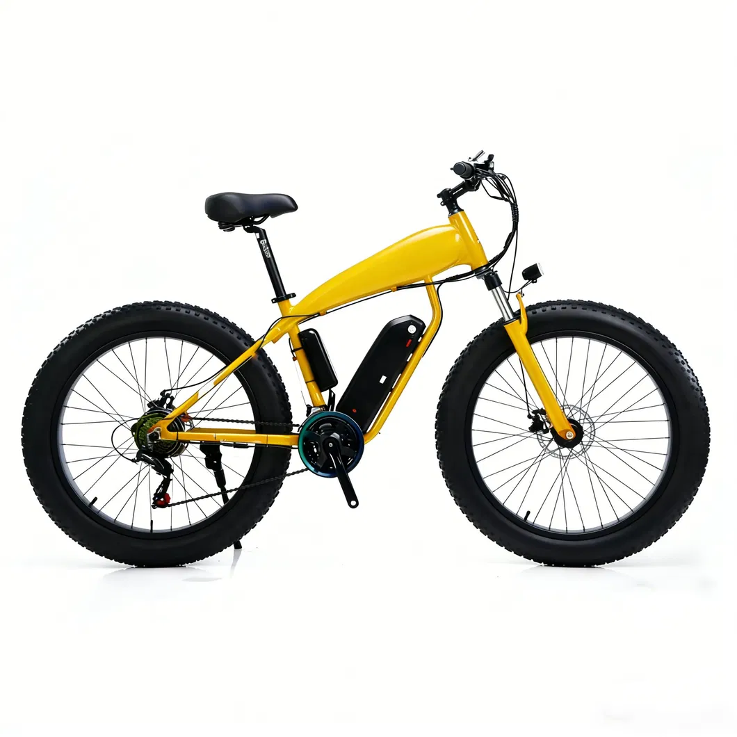 E-Bike Details 5
