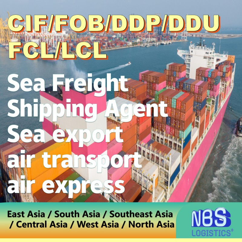 Cyprus Sea Freight Shipping Services Door-to-Door Customs Clearance From China/Fob/DDP/DDU to Cyprus, CIF Servies in China, FCL/LCL Freight Shipping in China