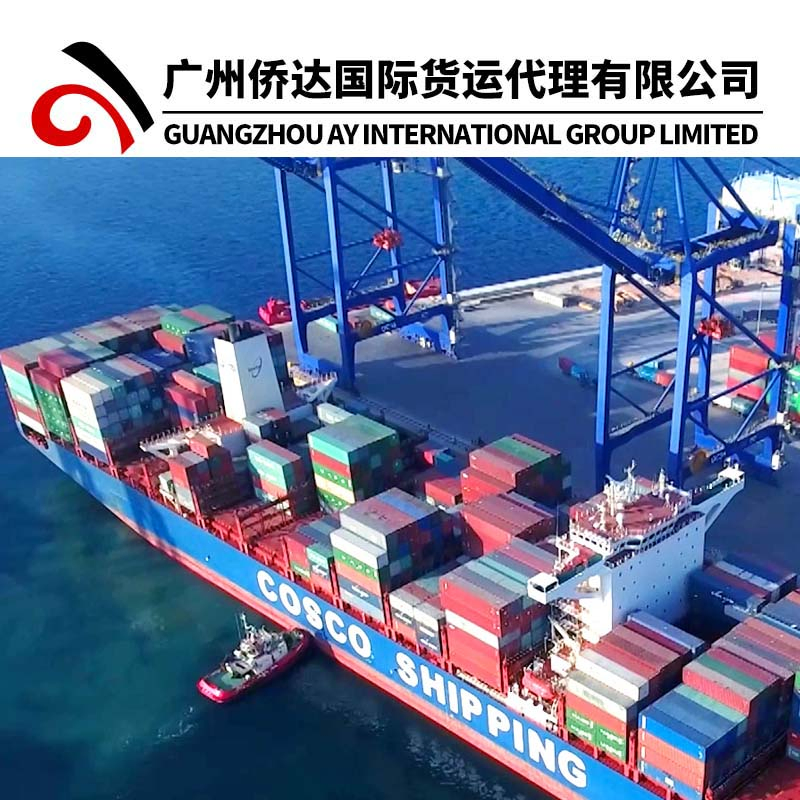 DDP Dubai Shipping Agent China Air Freight Forwarder Middle East Air Cargo Service to UAE/United Arab Emirates Shipping