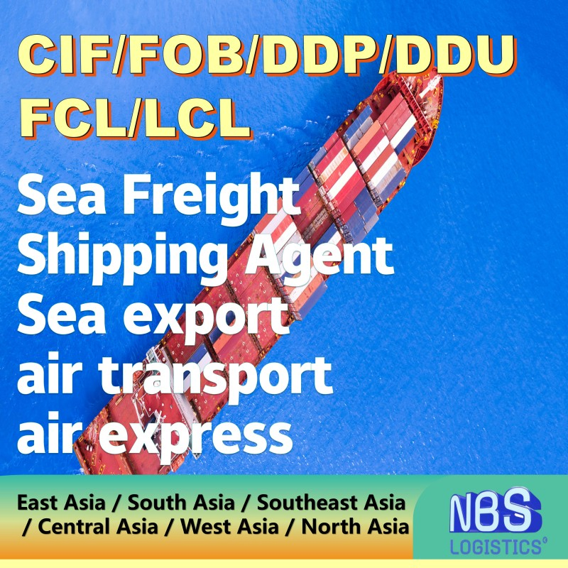 Cyprus Sea Freight Shipping Services Door-to-Door Customs Clearance From China/Fob/DDP/DDU to Cyprus, CIF Servies in China, FCL/LCL Freight Shipping in China