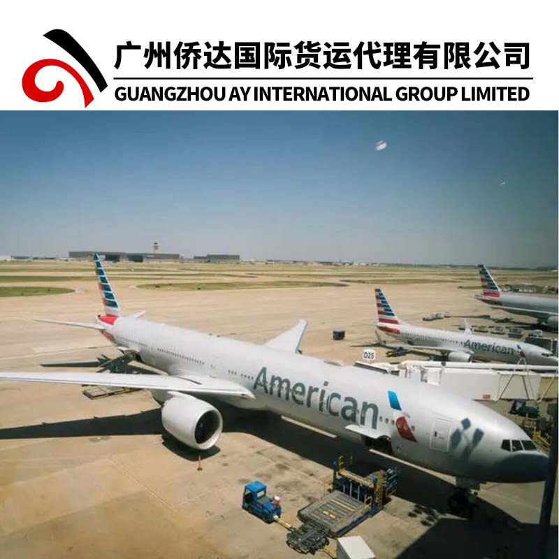 Szx Air Shipping Air Freight Air Logistics Air Cargo Service From China to USA Canada Mexico