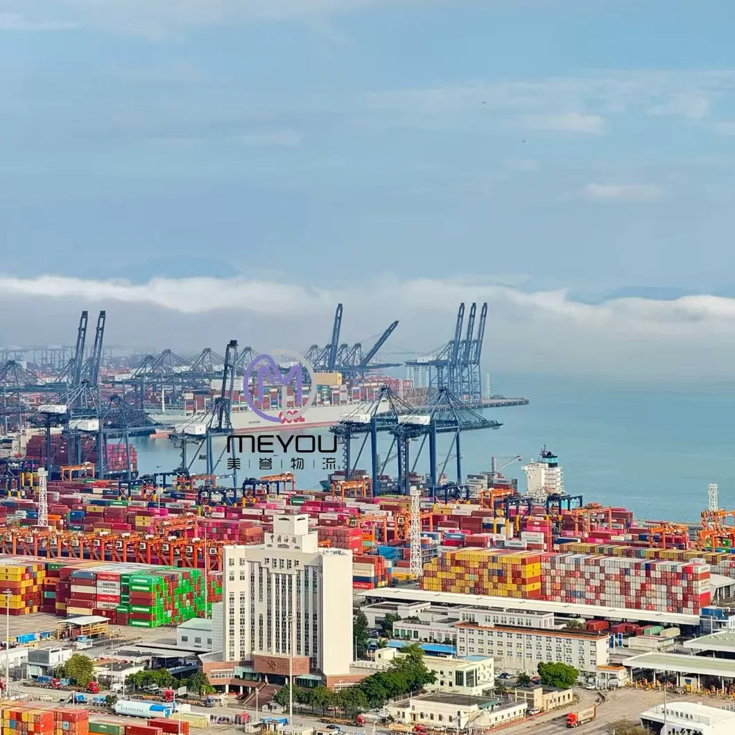 International Freight Forwarder Service