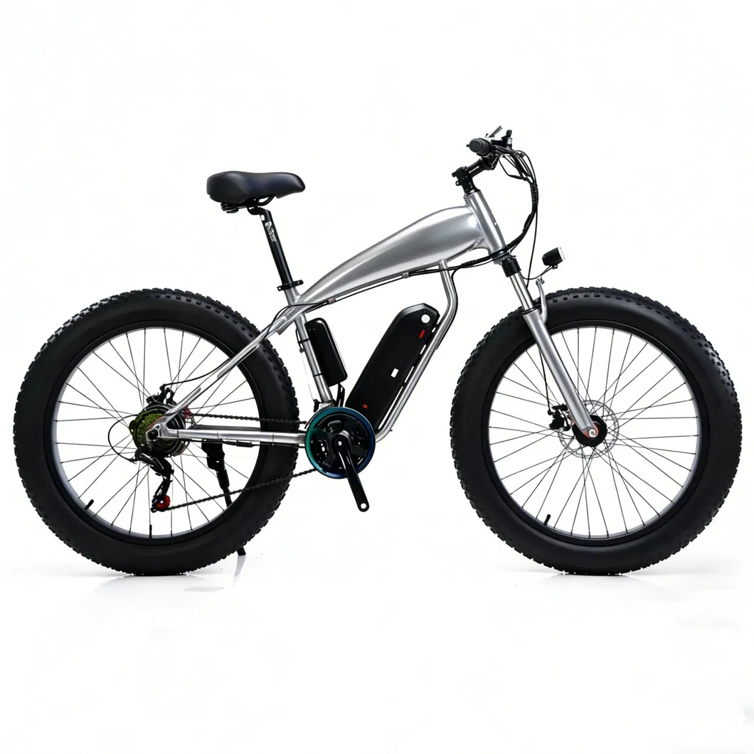 E-Bike Details 4