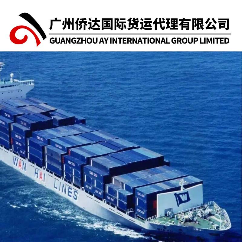 Air Freight Air Cargo From Shenzhen China to Dubai by DHL/TNT/UPS/FedEx/Sf Express Delivery