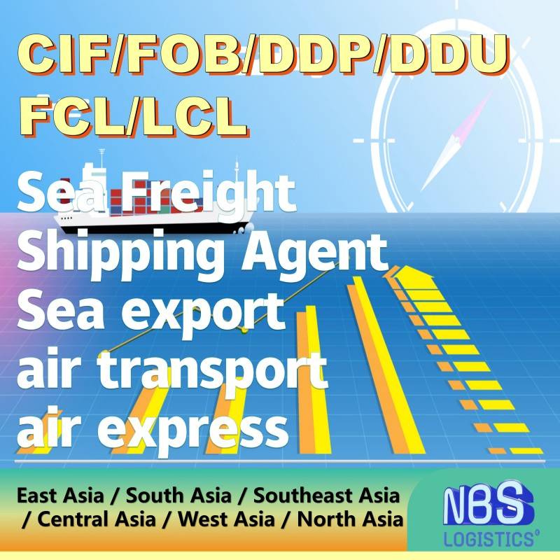 Cyprus Sea Freight Shipping Services Door-to-Door Customs Clearance From China/Fob/DDP/DDU to Cyprus, CIF Servies in China, FCL/LCL Freight Shipping in China