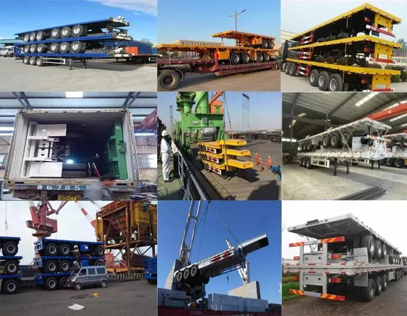 Packaging and Shipment