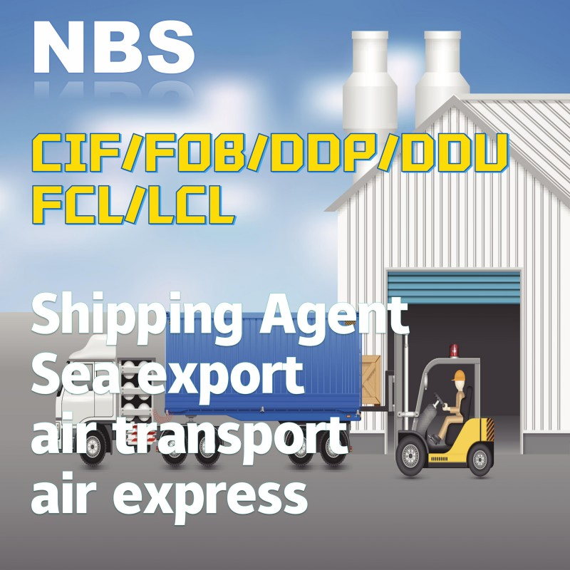 Sea/Air Freight Shipping Services From China/Fob/CIF/DDP/DDU/FCL/LCL to Iceland, Freight Forwarding Agent in China to Reykjavik Port