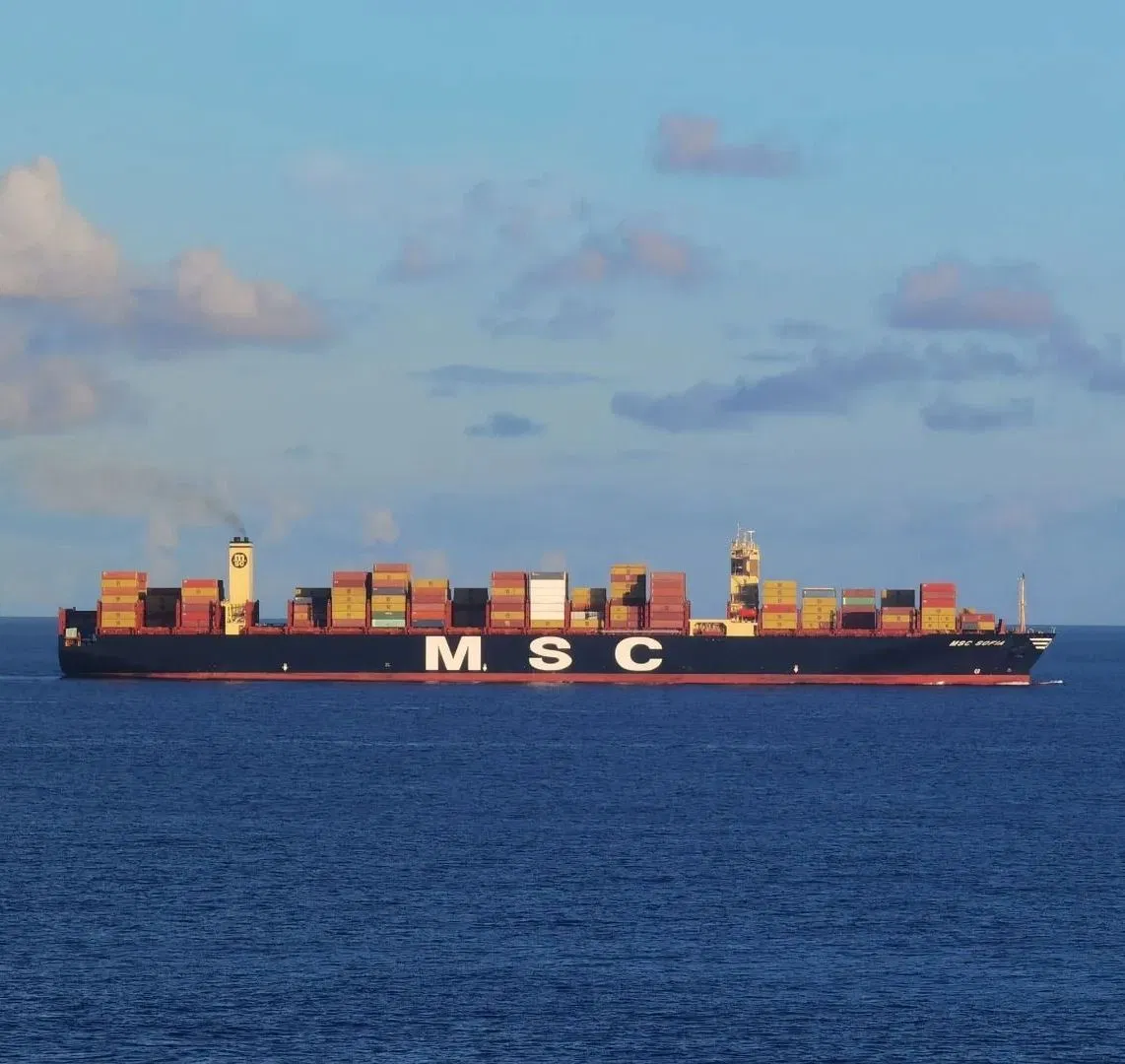 Jordan Sea Freight Shipping Services From China/Fob/DDP/DDU, CIF Freight Forwarder, FCL/LCL Freight Shipping in China to Aqaba