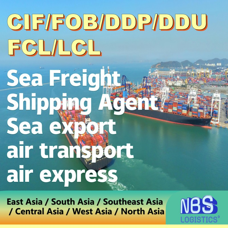 Cyprus Sea Freight Shipping Services Door-to-Door Customs Clearance From China/Fob/DDP/DDU to Cyprus, CIF Servies in China, FCL/LCL Freight Shipping in China