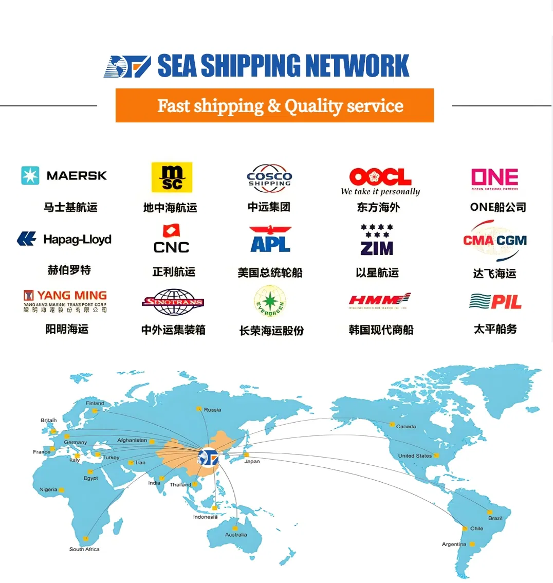 DDP Ocean Freight Forwarder Ship From China to Uar Saudi Arabia