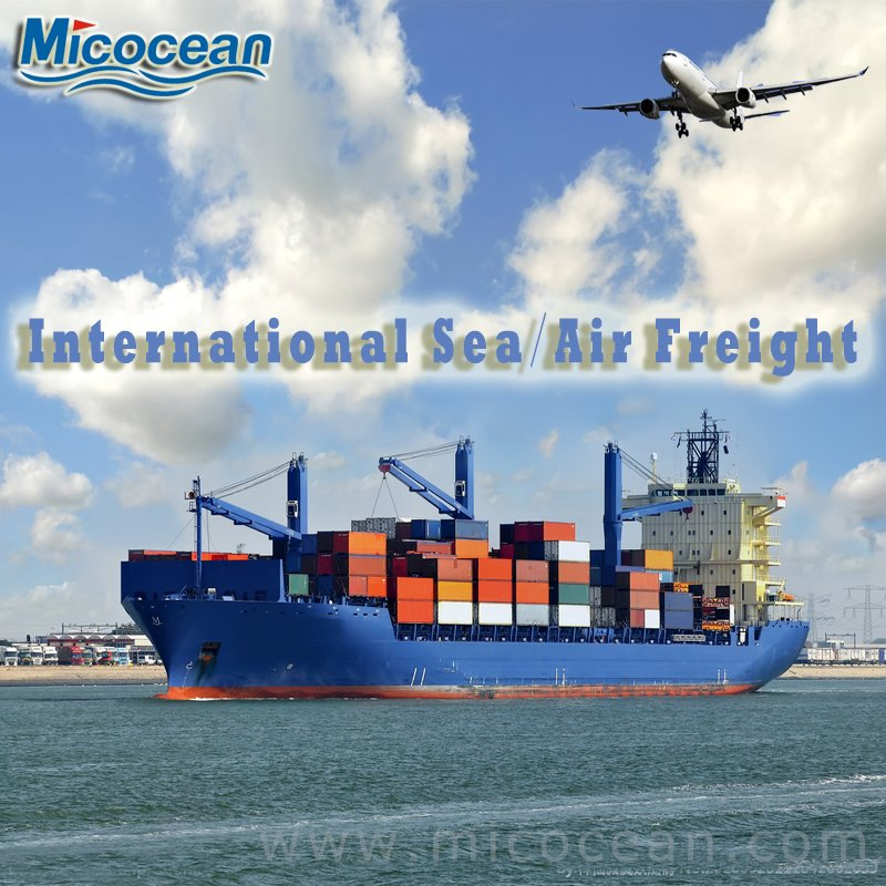 Professionnelle International Logistic FCL/LCL Ocean Transitaire Maritime Chine Tamatave/Djibouti/Dakar/Mombasa/Berbera/Kribi/Douala