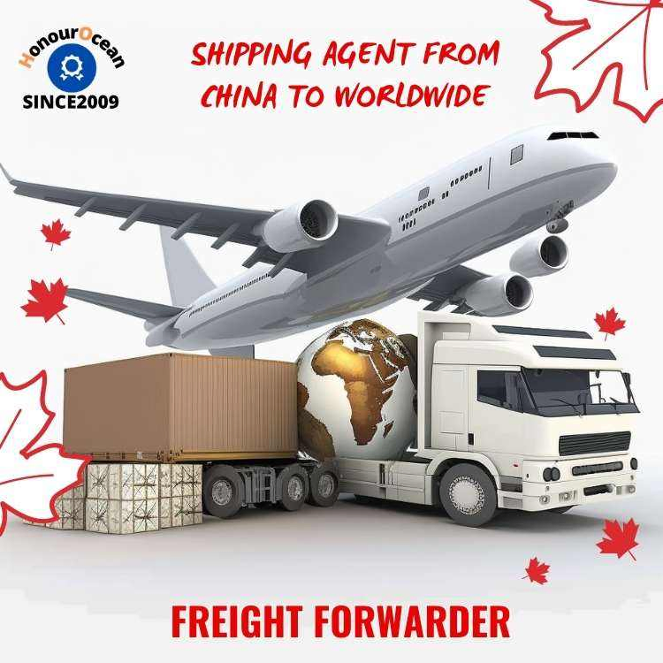 Special Transportation Logistic Services Shipping Agent Maritime Container Freight Forwarder China to Malaysia
