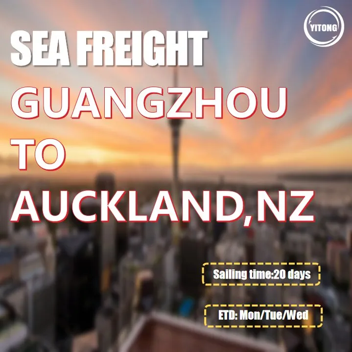 Global Freight
