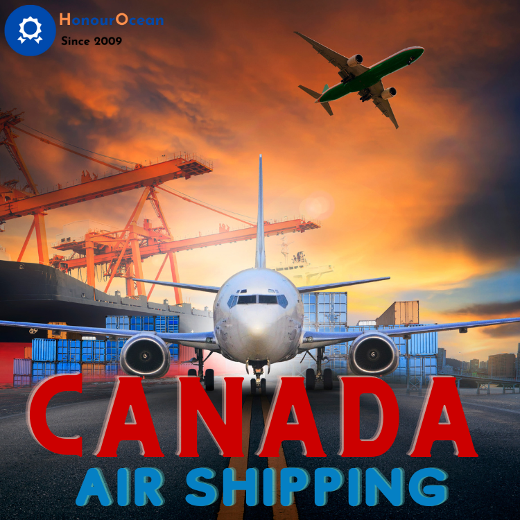 Special Transportation Logistic Services Shipping Agent Maritime Container Freight Forwarder China to Malaysia