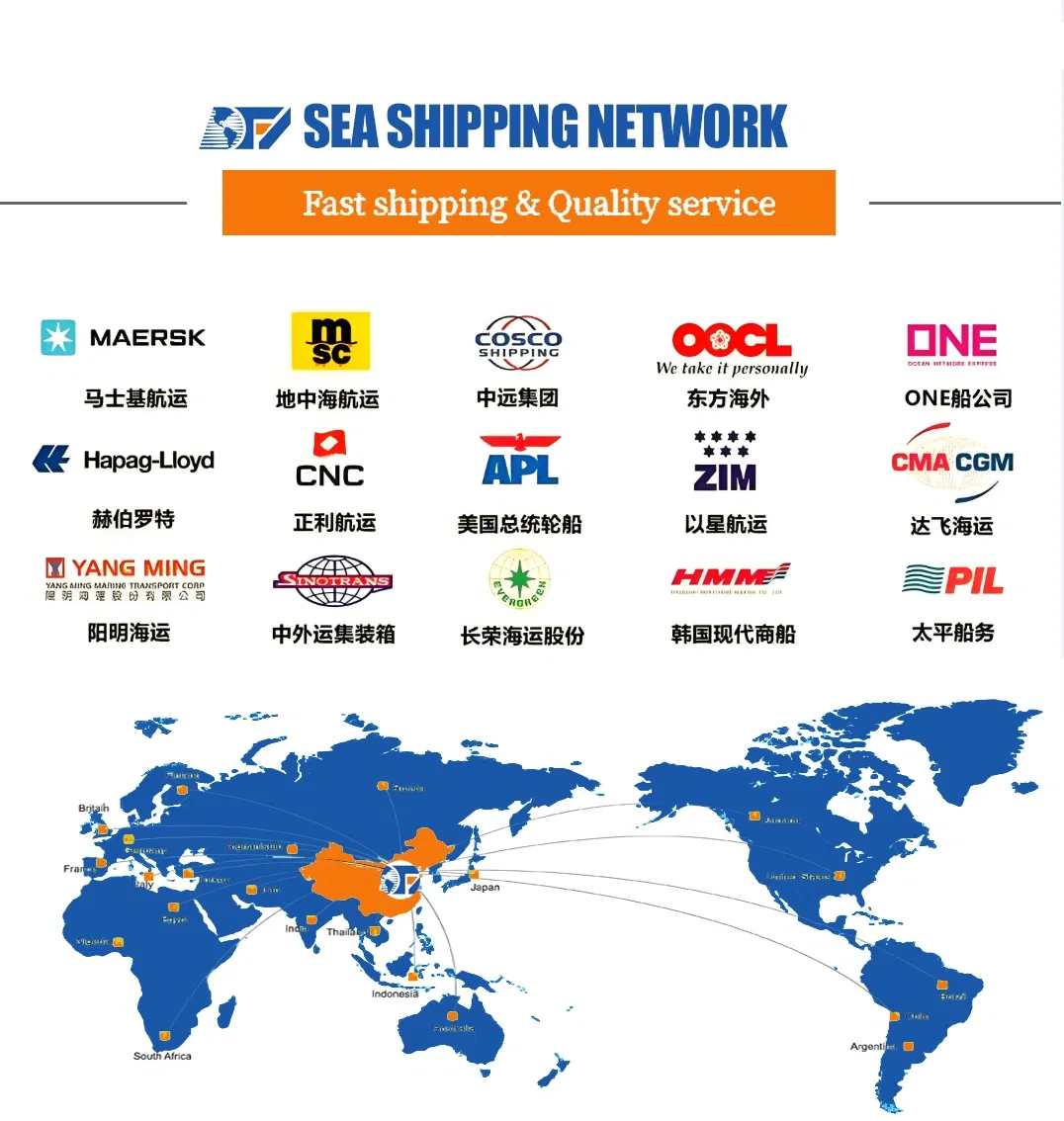 DDP Sea Freight Container Logistics Forwarder Ocean Shipping to South Africa
