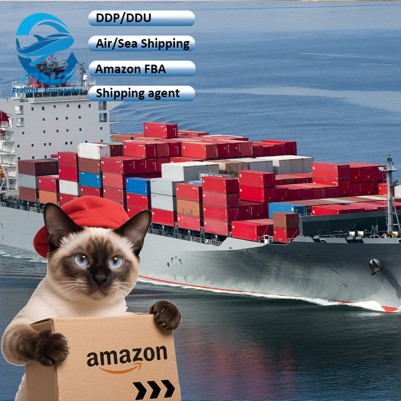 Cost-Effective Air/Sea Freight Transportation Door to Door Service From China to Pakistan