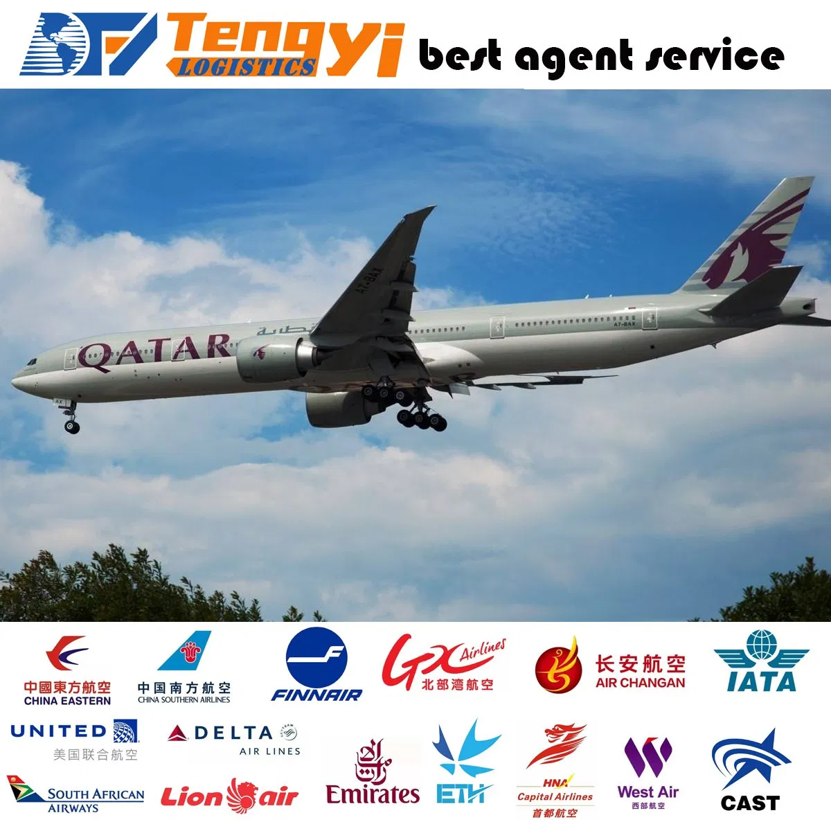 Logistics Transportation From China to Alpharetta/Augusta/Rome America and Amazon Fba, Air Freight, Sea Freight