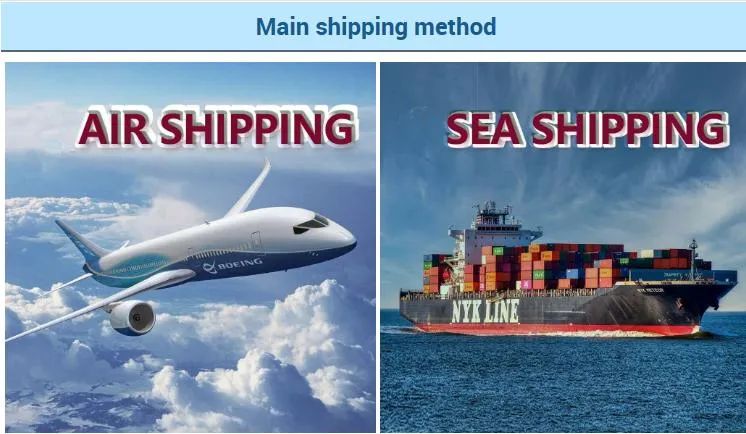 Shipping Logistics