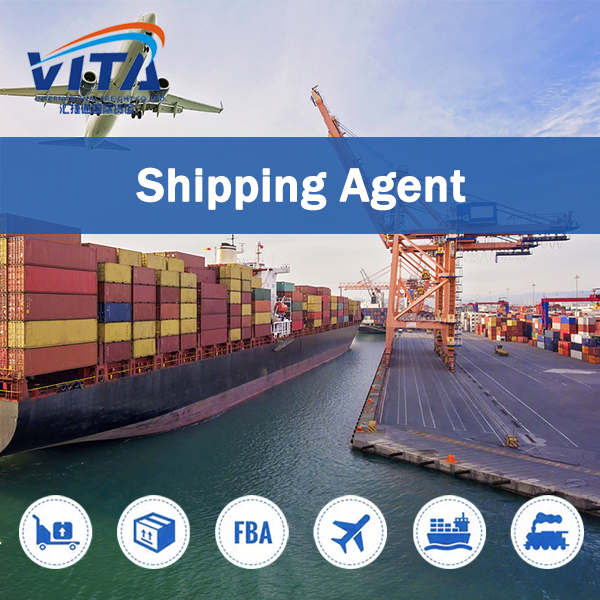 Refrigerated &amp; Frozen Cargo Sea Freight, Professional Reefer Transport