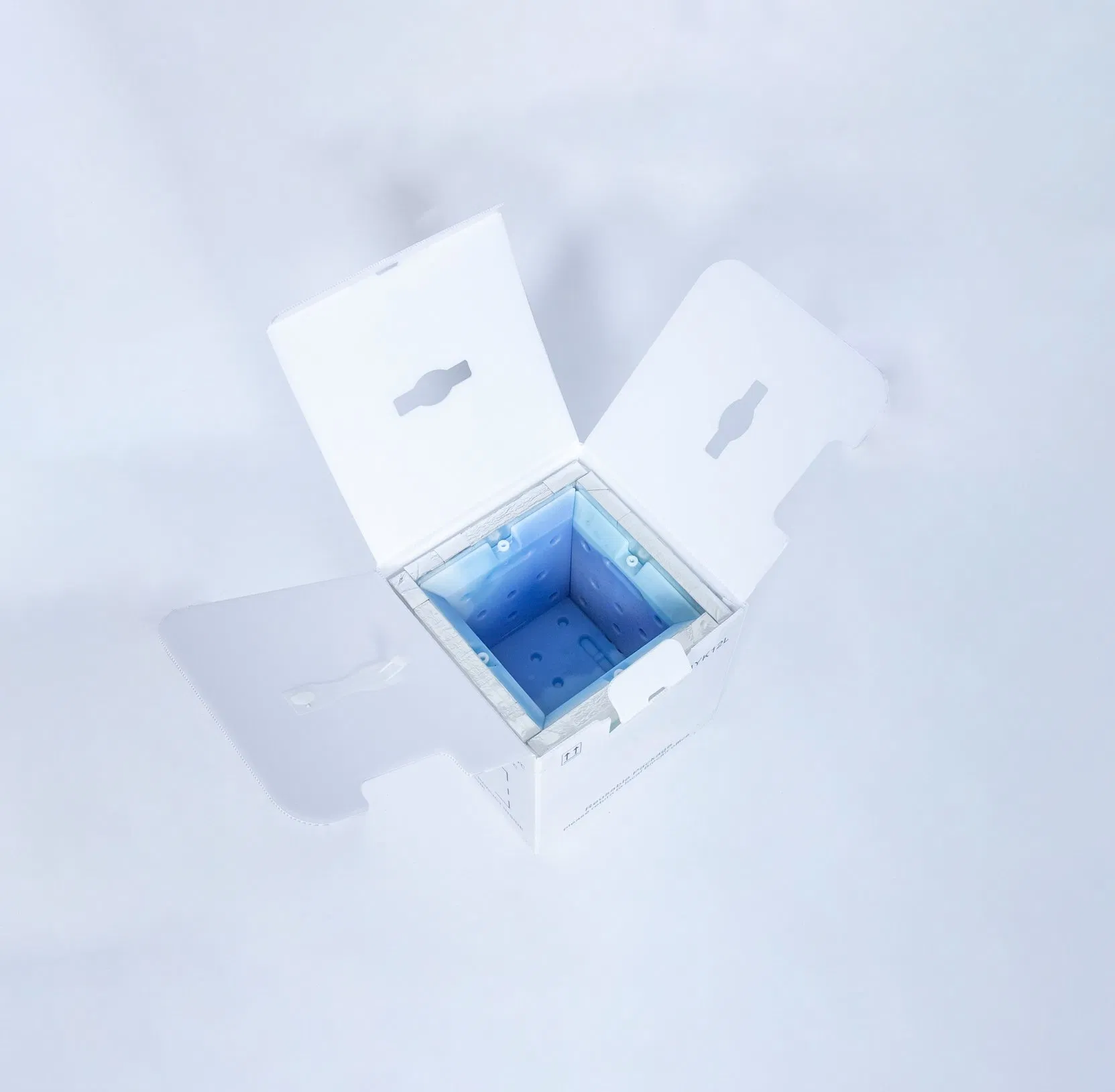 Reusable Temperature Controlled Shippers Pharmaceuticals Samples Cold Chain Refrigerated Transport Boxes Blood Vaccines 2º C~-8º C