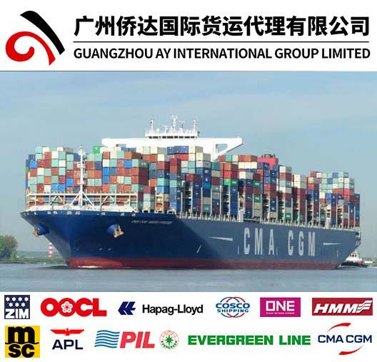 Air Freight to Nigeria/Air Cargo to Lagos From China/Air Shipping From Shanghai to Lagos