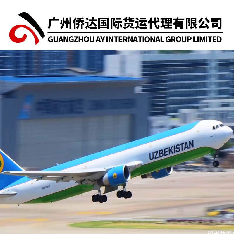 Szx Air Freight Air Cargo Air Shipping From China to Tajikistan (Dushanbe) by Express Delivery