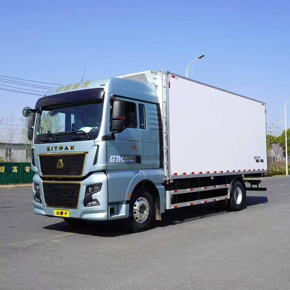 Professional Cold Chain Transport Vehicles - Insulated Food Truck Van for Fresh-Keeping Delivery Temperature-Controlled Refrigerated Transport Solutions