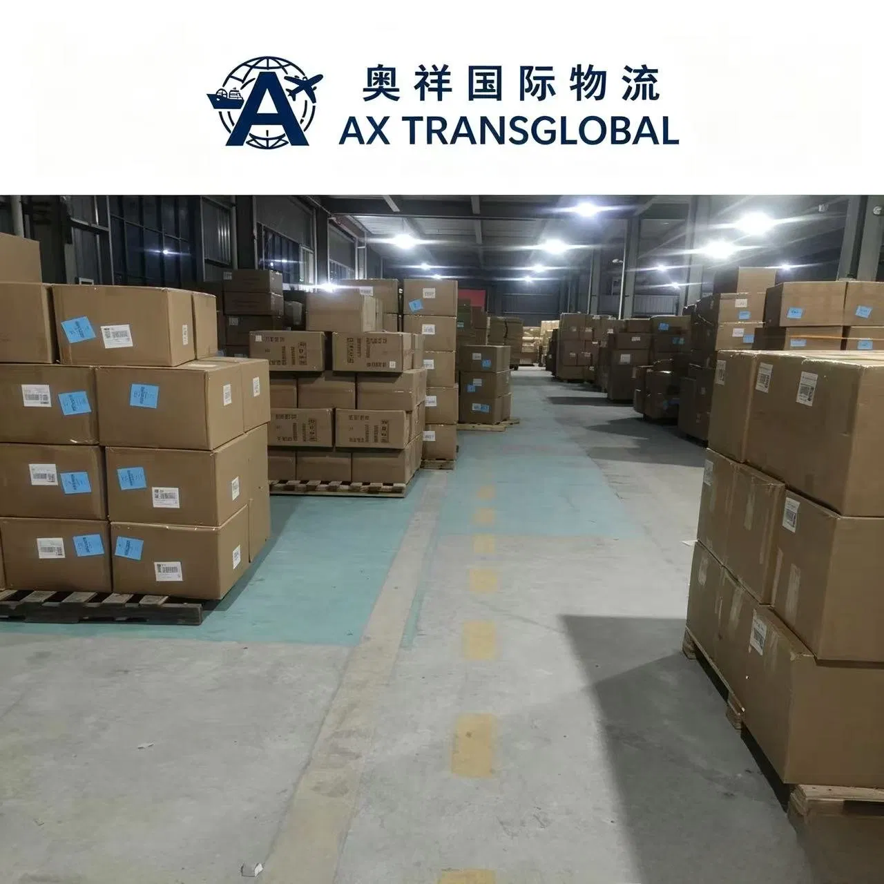 Professional Ocean Freight China to USA West Coast FCL LCL Door to Door DDP Service