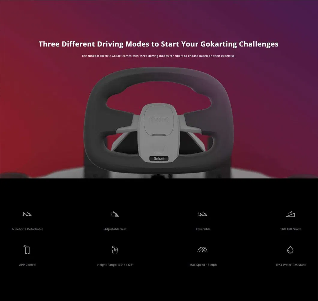 Electric Go Kart Specs