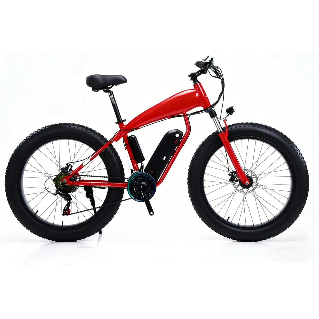 E-Bike Details 6