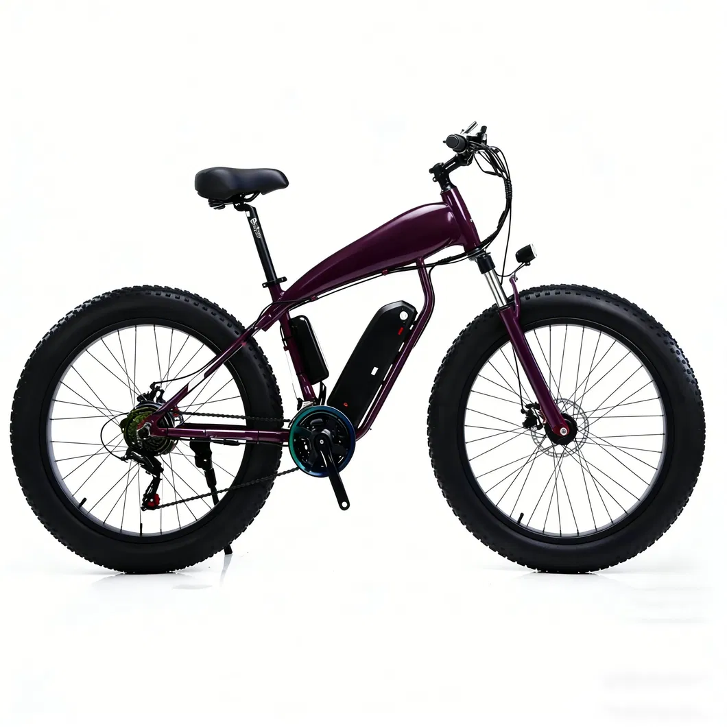 E-Bike Details 7