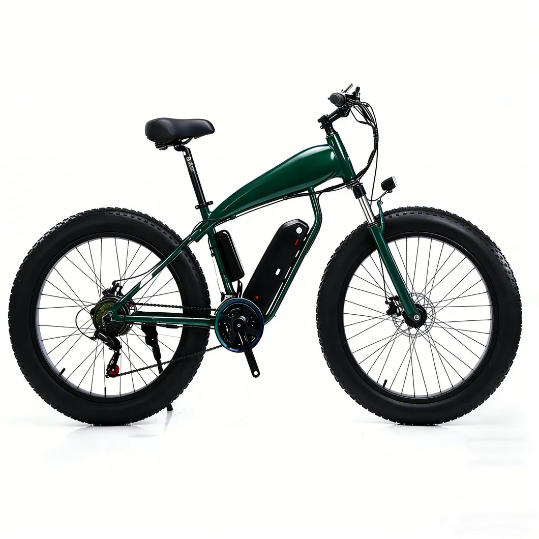 E-Bike Details 2