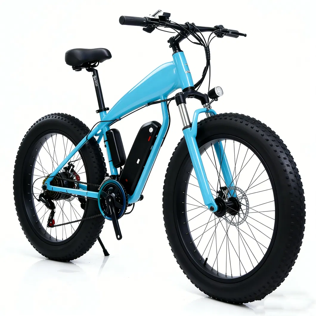 E-Bike Details 1